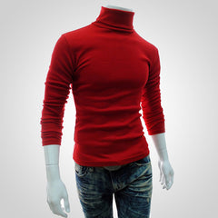 Puimentiua  Autumn Winter Men's Sweater Males Turtleneck Solid Color Casual Sweater Homme Slim Fit Knitted Cotton Pullovers