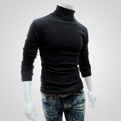 Puimentiua  Autumn Winter Men's Sweater Males Turtleneck Solid Color Casual Sweater Homme Slim Fit Knitted Cotton Pullovers