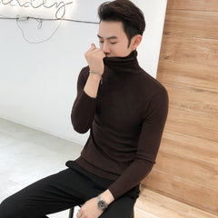 Winter New Men's Turtleneck Sweaters Black  Brand Knitted Pullovers Men Solid Color Casual Male Sweater Autumn Knitwear