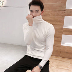 Winter New Men's Turtleneck Sweaters Black  Brand Knitted Pullovers Men Solid Color Casual Male Sweater Autumn Knitwear