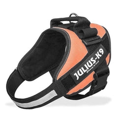 Dog Harness Sets JULIUS K9 Dog Harness Vest Collar For Small Big Grow Training Pet Safety Cat Waterproof Nylon